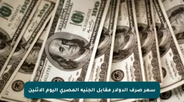 سعر صرف الدولار مقابل الجنيه المصري اليوم الإثنين